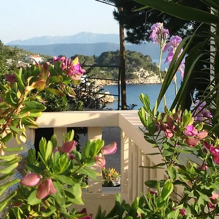 Lägenhet Apartments by the sea Drasnice, Makarska - 2705 Drasnice